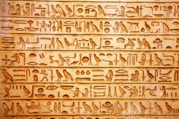 1754408023 5cb1ffc2 3a25 4e71 93cb 3f975a1fefbe