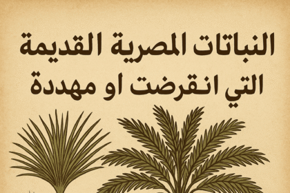 نباتات مصرية انقرضت